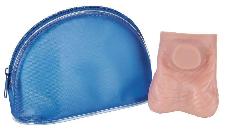 Modèle de palpation des testicules