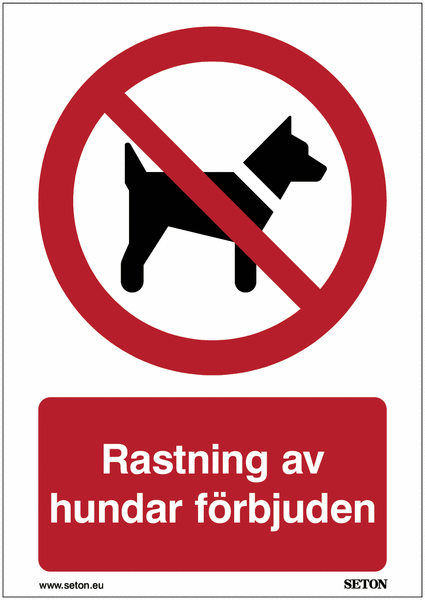 Porno hamshiralar HD formatda