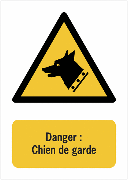 Lot De 5 Autocollants Alarme Dissuasion – Ultra Résistants (19x49 Mm) – Anti-Graffures, UV, Pluie, Gel