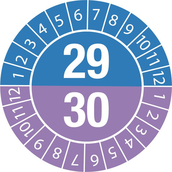 Tamper-Evident Dual Year Inspection Labels 2029/30 | Seton UK | Seton