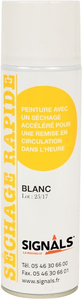 Peinture à séchage très rapide en aérosol