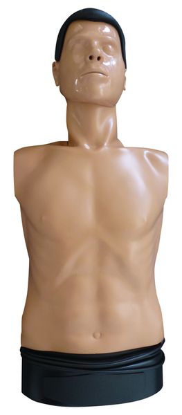 Mannequin de secourisme Ambu Man B torse