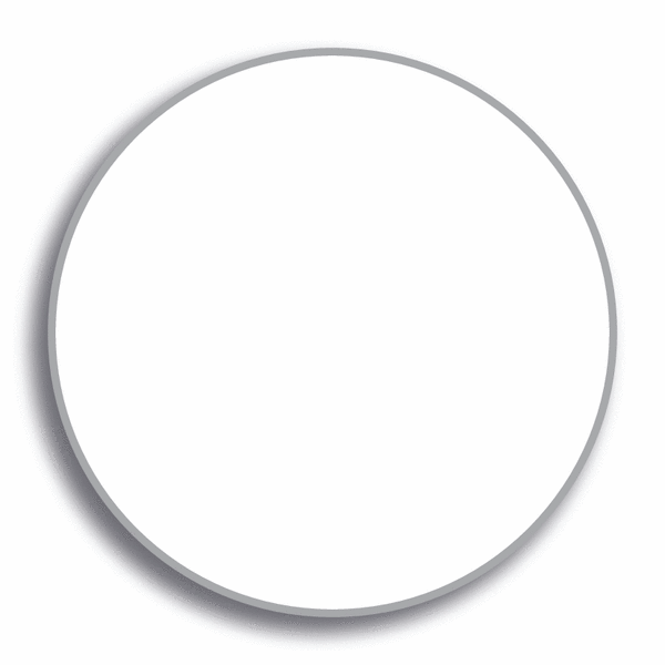 Scafftag® Unitag® Inserts - Blank | Seton