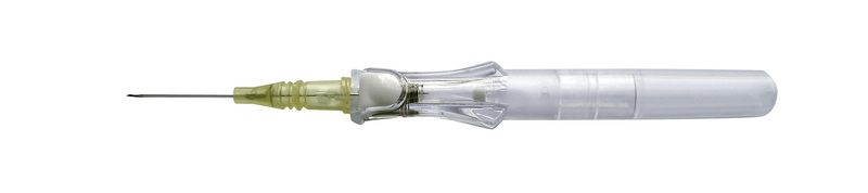 Catheter+BD+Insyte™+Autoguard™+avec+ou+sans+ailettes