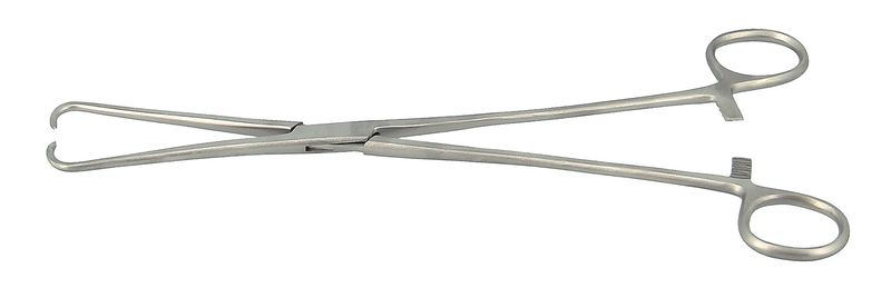 Lot De 10 Pinces Chirurgicales En Inox - Pince à Coton/habillement - Neuf