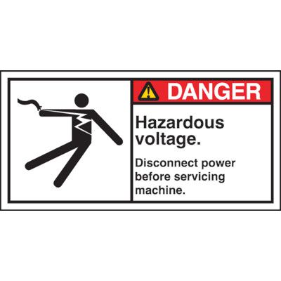 ANSI Z535 Safety Labels, Danger Hazardous Voltage Label | Seton