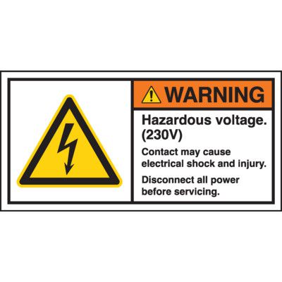 ANSI Z535 Safety Labels, High Voltage Labels | Seton