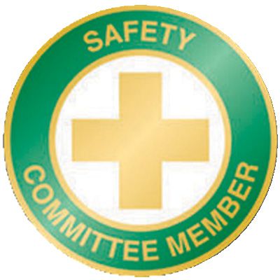 Safety Recognition Pin Safety Committee Member Seton