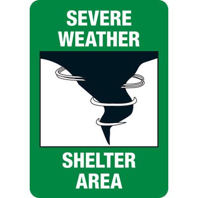 嵐からの避難　Shelter from the Storm EA Fab RF JP】[汎用] 嵐からの避難/Shelter from the Storm (赤)「M